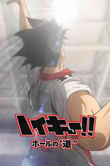 Haikyuu!! The Path of the Ball poster