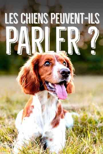 Can Dogs Talk? Poster