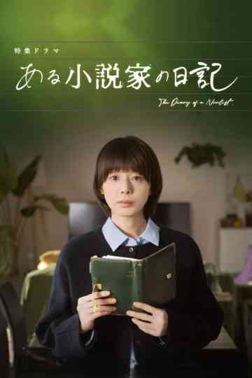 The Diary of a Novelist Poster