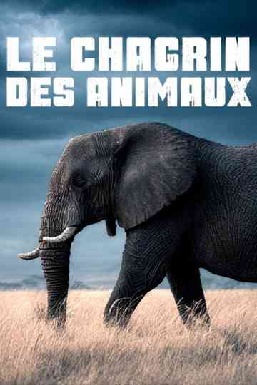 Le chagrin des animaux : mythe ou réalité ? Poster