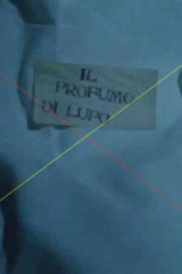 Vladimir Propp- Profumo di lupo Poster