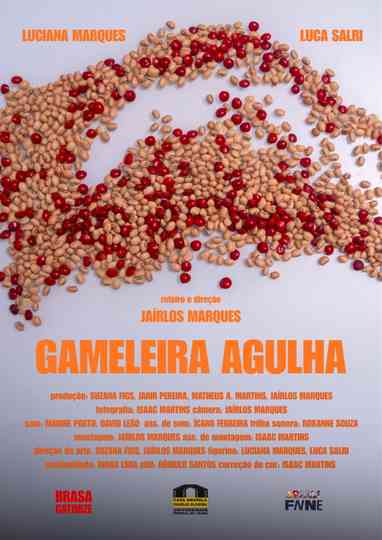 Gameleira Agulha Poster
