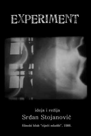 The Experiment Poster