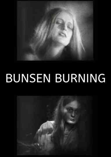 Bunsen Burning Poster
