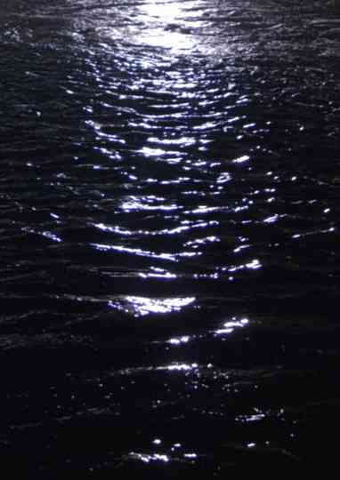 Par ma fenêtre Poster