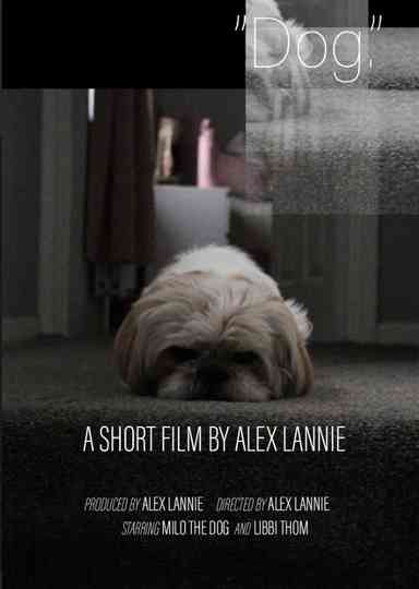 “Dog.” Poster