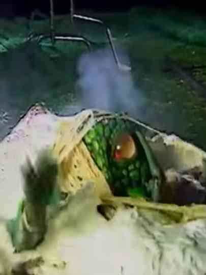 Videozone: The Making of Seedpeople Poster