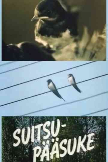 Suitsupääsuke Poster