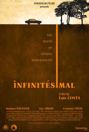 Infinitesimal Poster