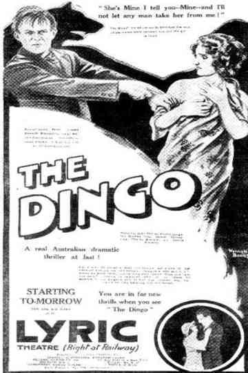 The Dingo Poster