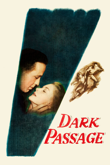 Dark Passage Poster