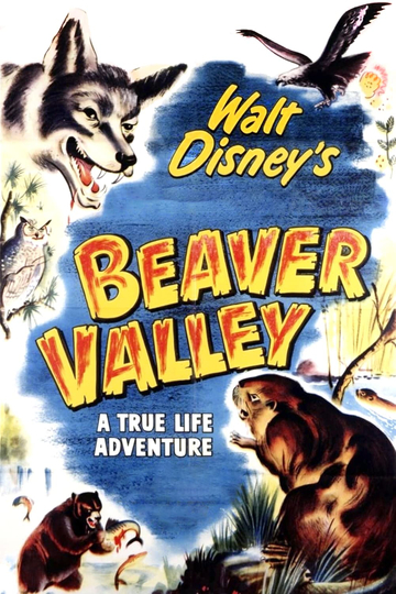 Beaver Valley