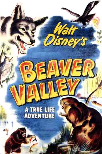 Beaver Valley poster