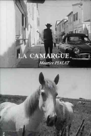 La Camargue Poster