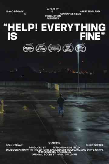 Help! Everything is Fine Poster