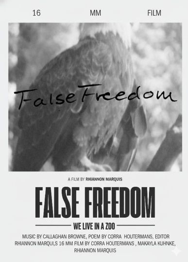 False Freedom