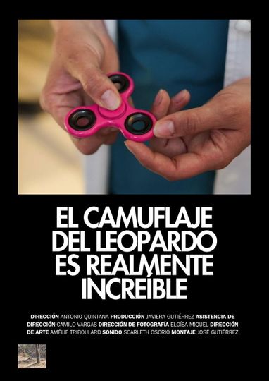 El Camuflaje del Leopardo es Realmente Increíble