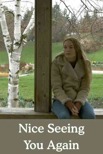 Nice Seeing You Again Poster