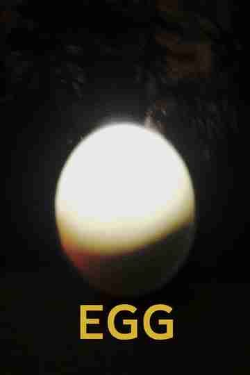 Ägg Poster
