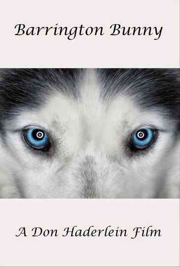 Barrington Bunny Poster