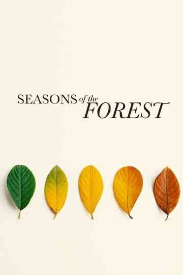 Seasons of the Forest Poster