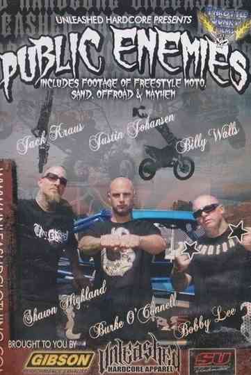 Public Enemies Poster