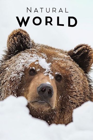 France: The Wild Side