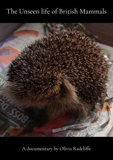 The Unseen life of British Mammals Poster
