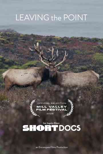 Leaving the Point Poster