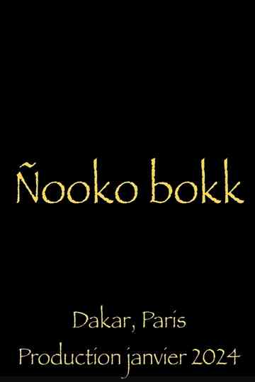 Nooko Bokk Poster