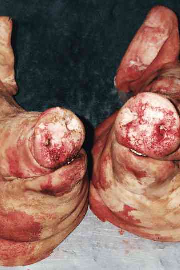 Falling Out the Sky Poster