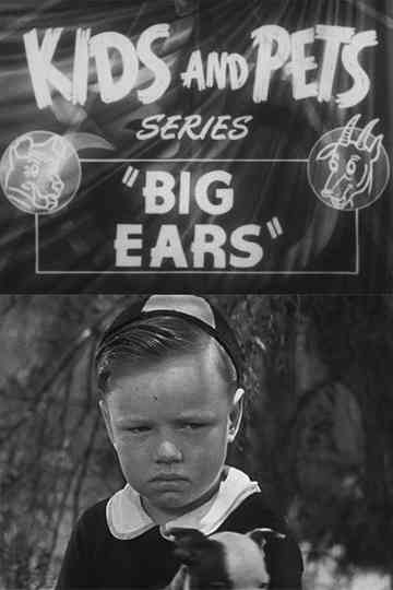 Big Ears poster