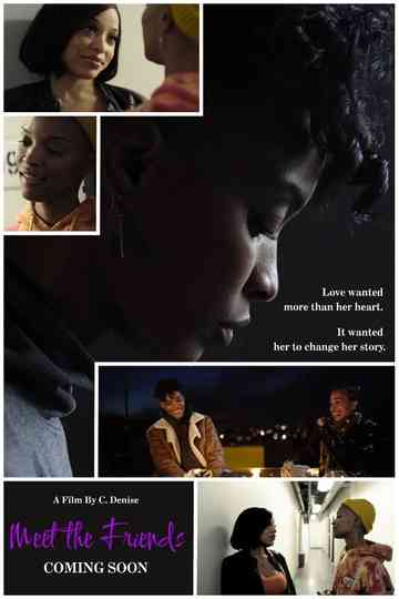 Meet The Friends Poster