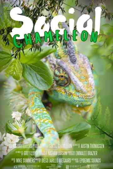 Social Chameleon Poster