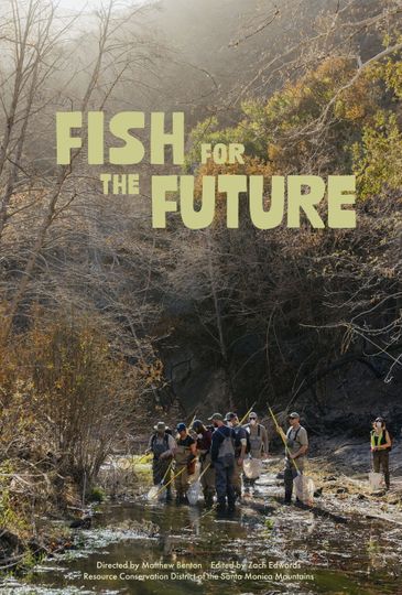 Fish for the Future