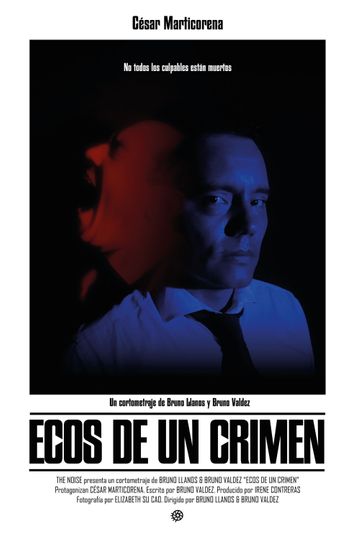 Echoes Of A Crime