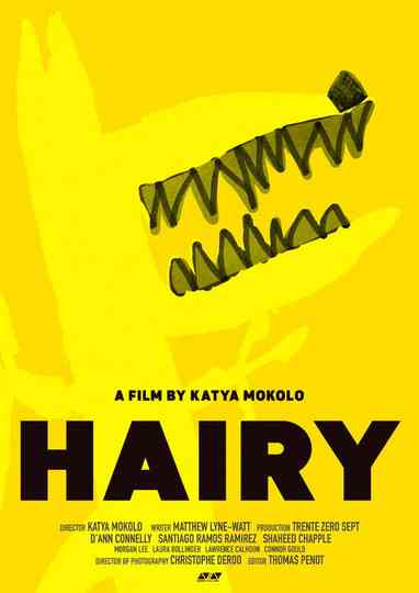 HAIRY Poster