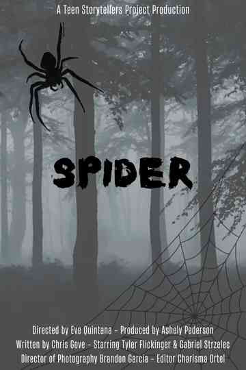 Spider Poster