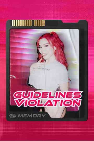 Guidelines Violation Poster