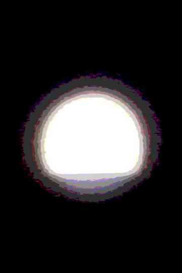 Friend in the Woods Poster