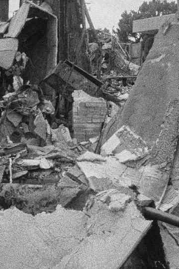 California is Burning Poster