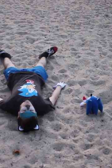 Goodnight Sonic - An Intimate Portrait Into the Subsequent Fall of A Hedgehog Poster