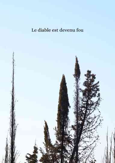 Le diable est devenu fou Poster