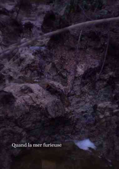 Quand la mer furieuse Poster