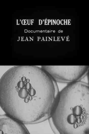 The Sticklebacks Eggs Poster