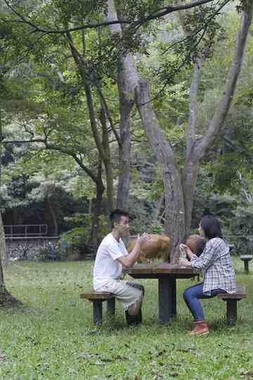 The Cow Caretaker Poster