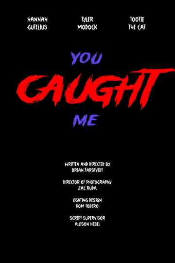 You Caught Me Poster