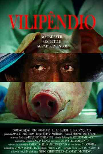 Vilipêndio Poster