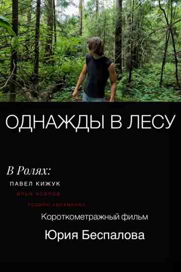 Once Upon a Time in the Forest Poster