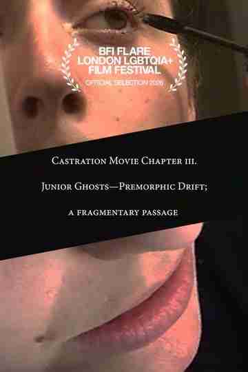 Castration Movie Chapter iii. Junior Ghosts—Premorphic Drift; a fragmentary passage Poster